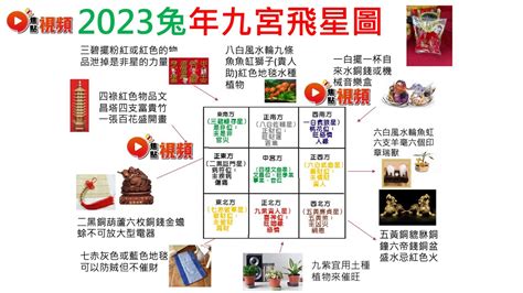 屬兔座向|兔年旺財風水佈局攻略